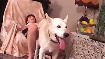 Dog fills out her pussy in a hot bestiality