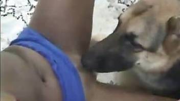 Dog sex makes the girl to fuck with her dog