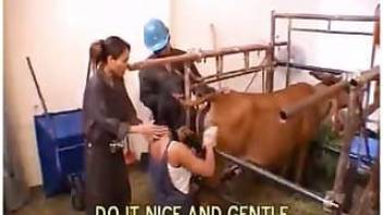 Explicit sex scenes with kind farm animals