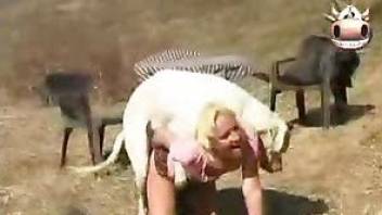 Nasty bit got in doggy pose and stuffing her cunt with male animal dog pets dick