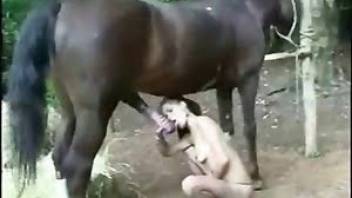 Girl sucks a horse dick and lets him fuck her ass