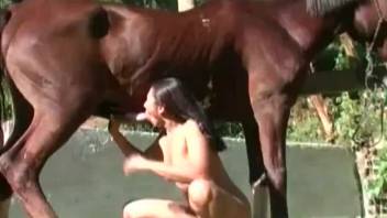 Muscled stallion fucks with a slutty babe