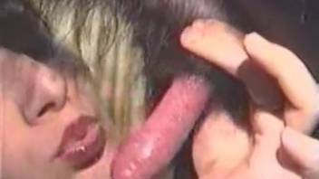 Performing oral on the dog's erection