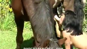Young girl loves farmyard banging so damn much