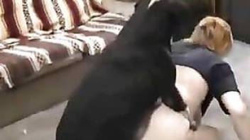 Tireless dog fucks his crazy mistress from behind