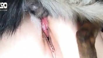 Top notch slut enjoy dog bestiality