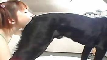 Animal sex tube video with a nice handjob