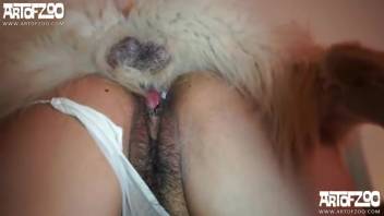 Bestiality adult film depicting a promiscuous woman in white undergarments