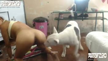 Complimentary bestiality video features a promiscuous dark-haired female