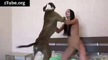 Great sex with a dog porn movie here