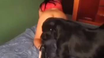 Girl fucking her dog for the first time