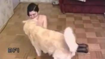 Fucking a dog with my lovely slender wife