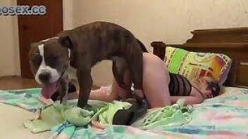 Amateur homemade bestiality dog sex scene