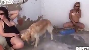 352px x 198px - Blond-haired girl has sex with dog. Free bestiality and animal porn