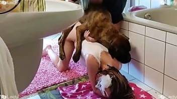 Bathroom sex with dog video all free