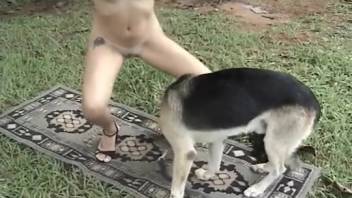 Female engages in intercourse with canine on the lawn. Complimentary zoophilia and beast pornography