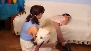 Shaved cunt hottie is eager for animal sex