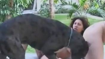 Outdoor canine sex film featuring Latina hotties