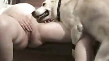 Dog fuck movie featuring a sexy beast