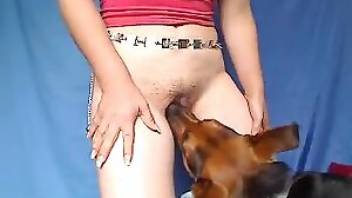 Anmials Sxse Vdos - Only the very best dog sex videos. Free bestiality and animal porn