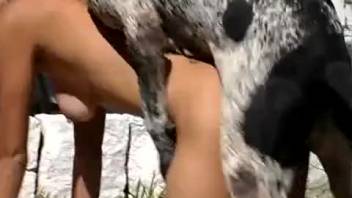 Trimmed pussy gal fucking in the grass