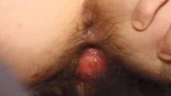 Brunette with hairy snatch gets banged by a canine right here