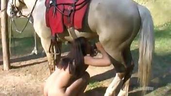 Passionate fucking in sex with horse video