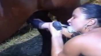 Compilation of female orally penetrating horse