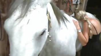Horse porn movie with passionate loving