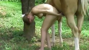 Impressive zoo porn with real orgasms