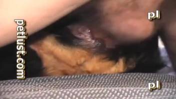 Guy screws a bitch in missionary position here