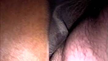 You'll adore this equine intercourse with fisting