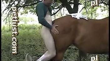 Horse fuck clip with a hung dude. Free bestiality and animal porn
