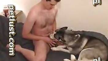 Man fucking a dog in the anal hole