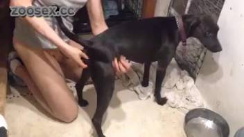 Man has sex with dog for the first time