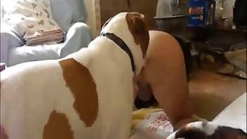 Dog fucking featured in a hot porno