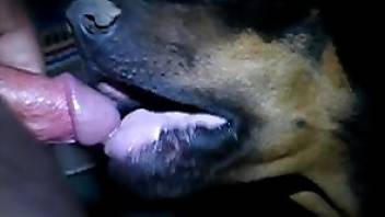 Man fucking dog in a passionate way
