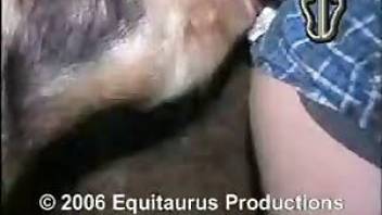 Insane pig bestiality porn action in HD