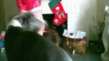 Animal sex session with whores exclusively for Christmas