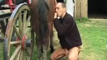 Bestiality video: Guy employs his penis and tongues equine dick